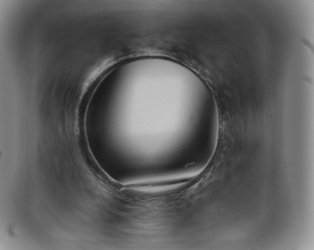 X0000099230248200805011143