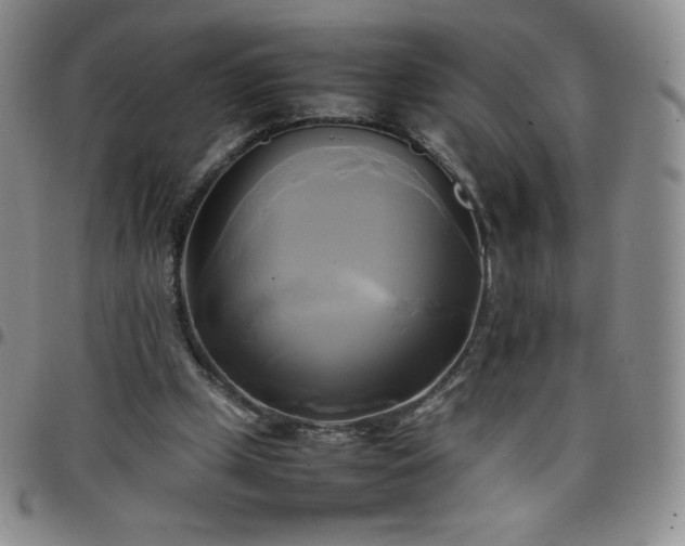 X0000099230249200805011143