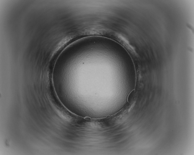 X0000099230250200805011143