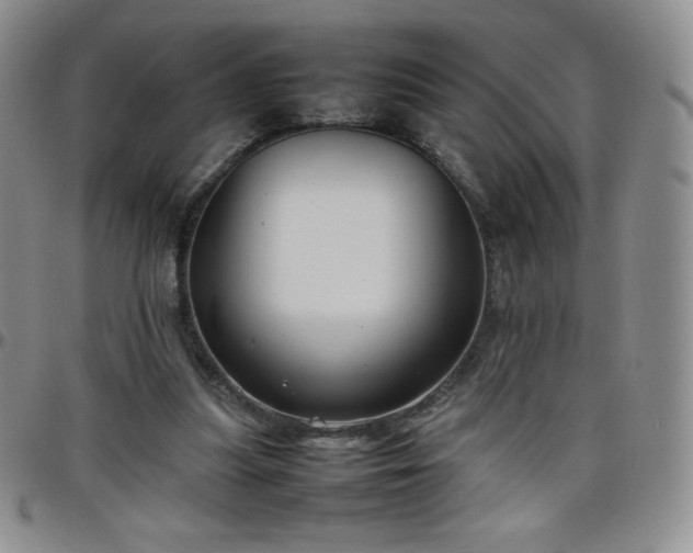 X0000099230251200805011143