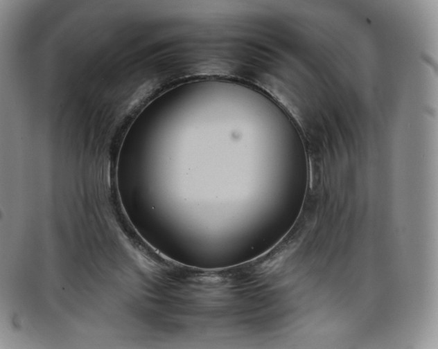 X0000099230253200805011143