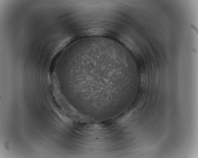 X0000099230254200805011143