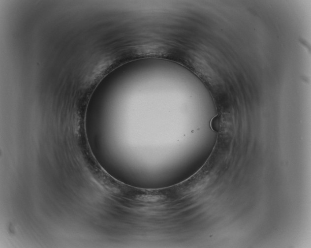 X0000099230255200805011143