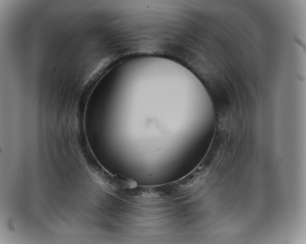 X0000099230256200805011143