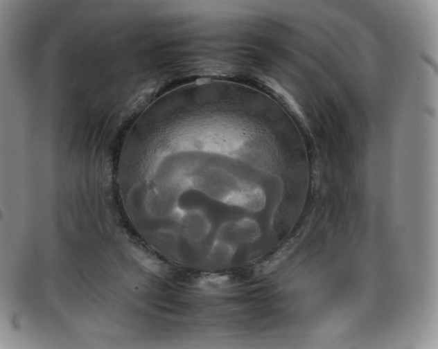 X0000099230257200805011143