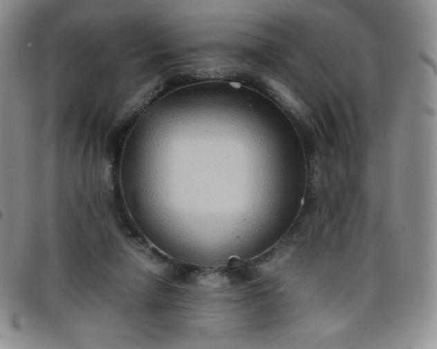 X0000099230258200805011143