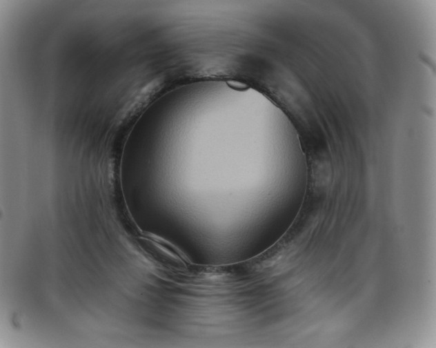 X0000099230260200805011143