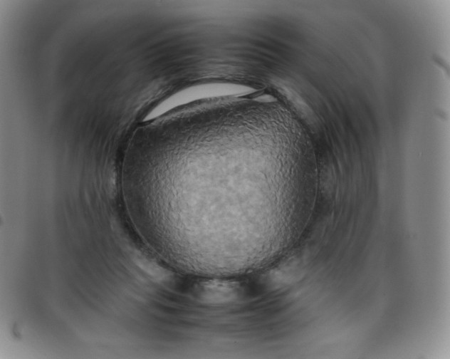 X0000099230261200805011143