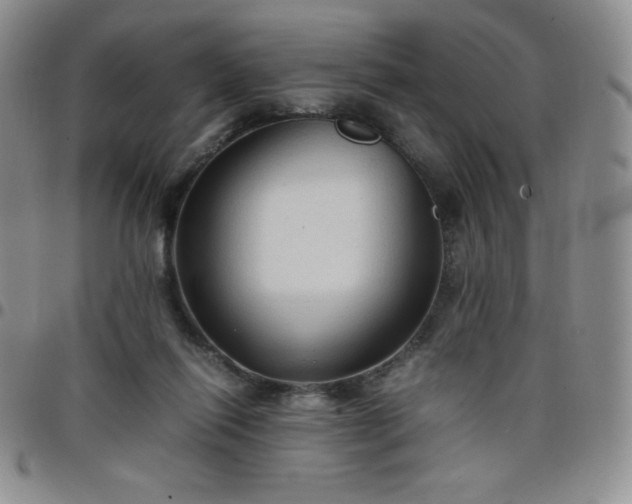 X0000099230262200805011143