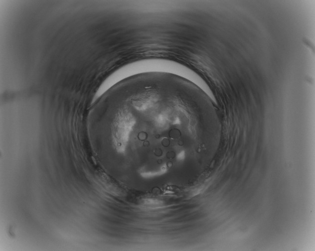 X0000099230263200805011143