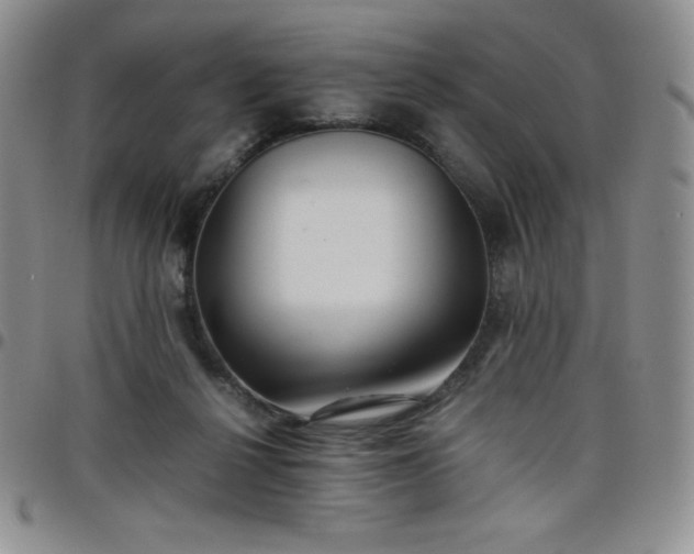 X0000099230264200805011143