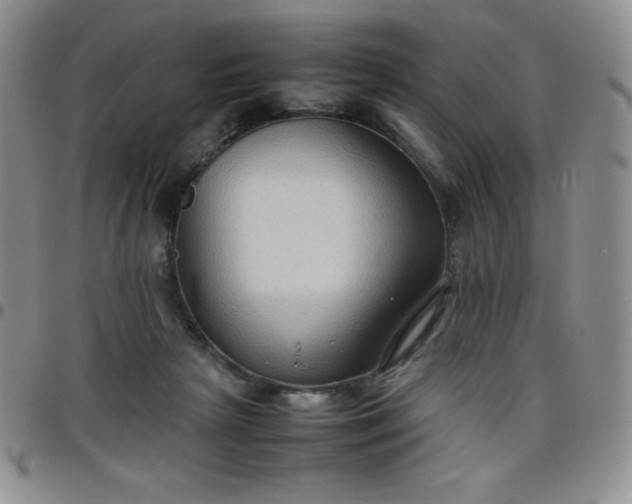 X0000099230265200805011143