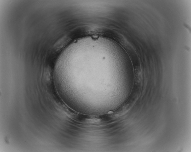 X0000099230266200805011143