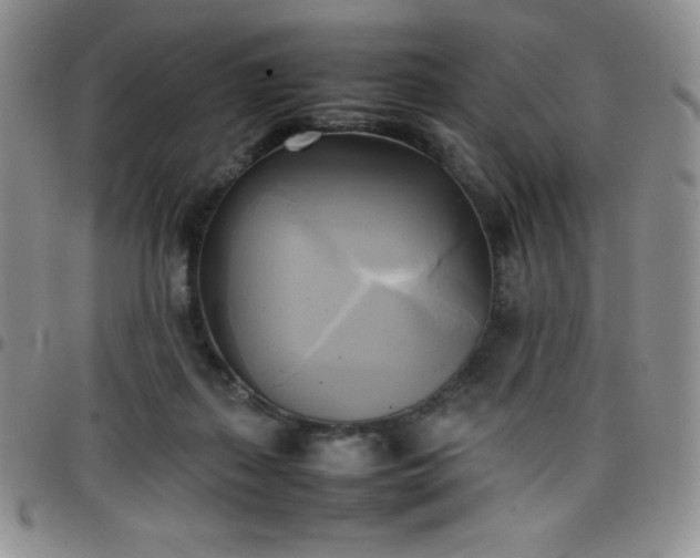 X0000099230267200805011143