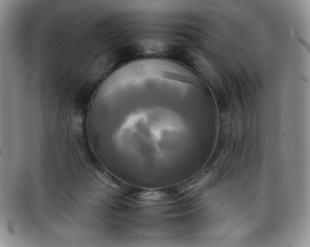 X0000099230269200805011143