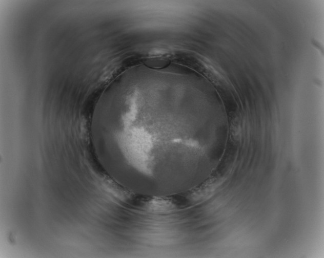 X0000099230270200805011143