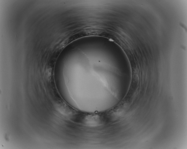 X0000099230271200805011143