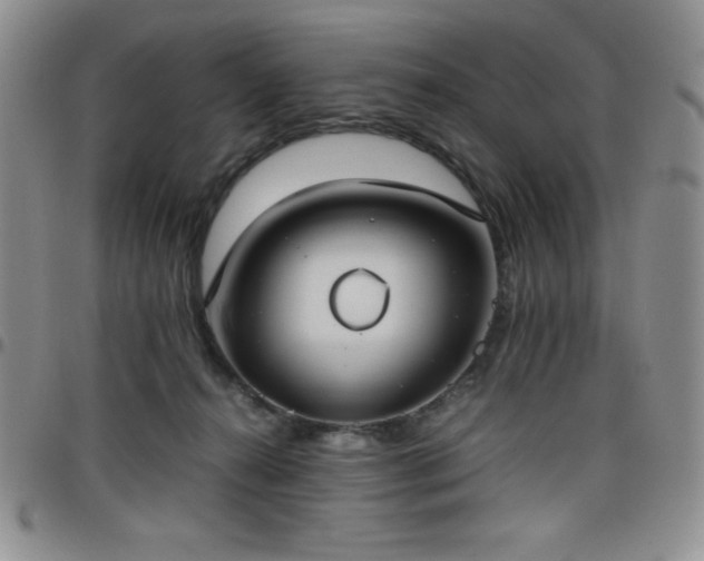 X0000099230272200805011143