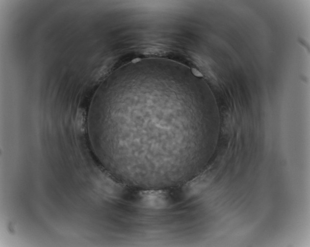 X0000099230273200805011143