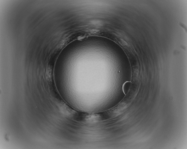 X0000099230274200805011143