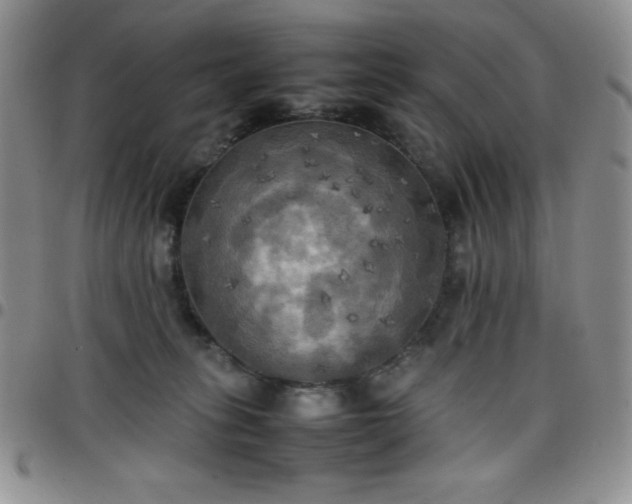 X0000099230275200805011143