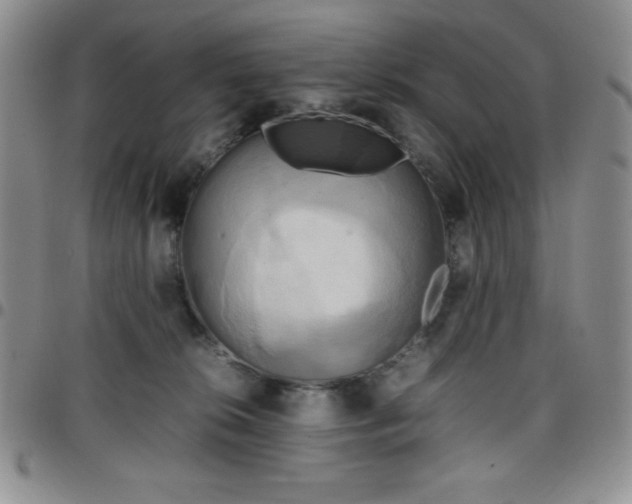 X0000099230276200805011143