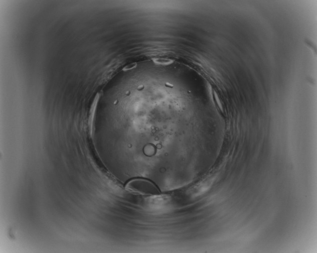 X0000099230277200805011143