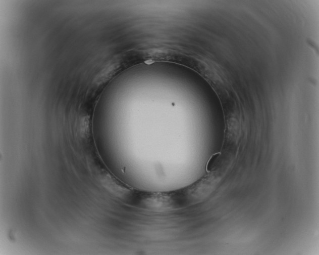 X0000099230278200805011143