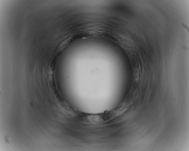 X0000099230279200805011143