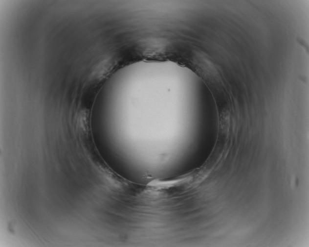 X0000099230280200805011143