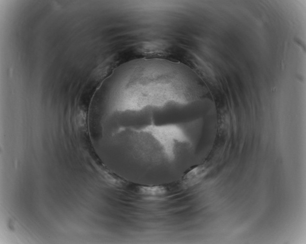 X0000099230281200805011143