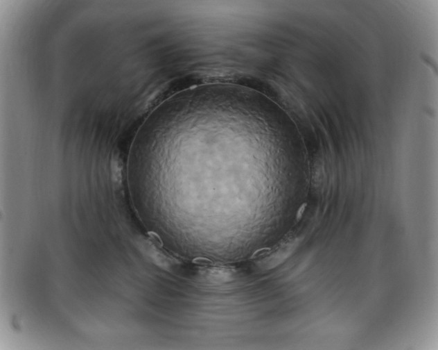 X0000099230282200805011143