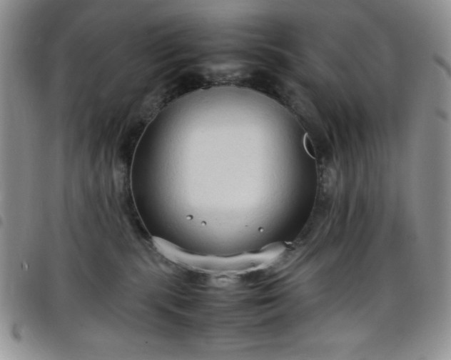 X0000099230283200805011143