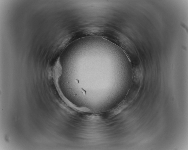 X0000099230284200805011143