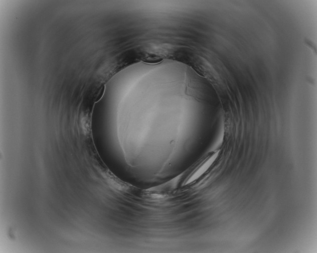 X0000099230285200805011143