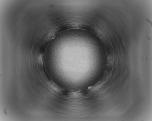 X0000099230286200805011143