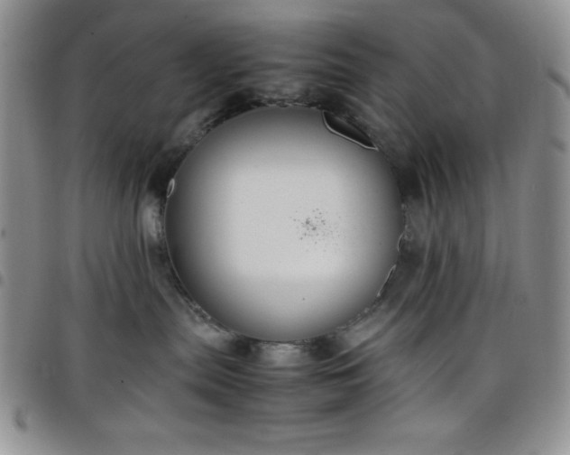 X0000099230287200805011143