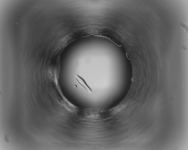 X0000099230288200805011143