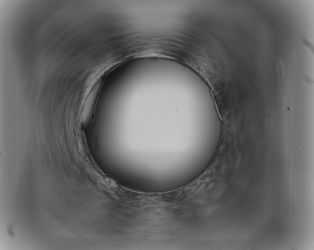 X0000099230289200805011142