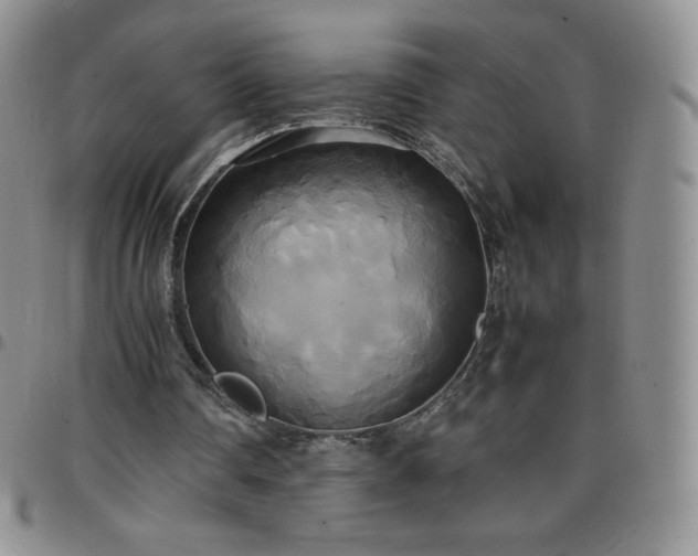 X0000099230290200805011142