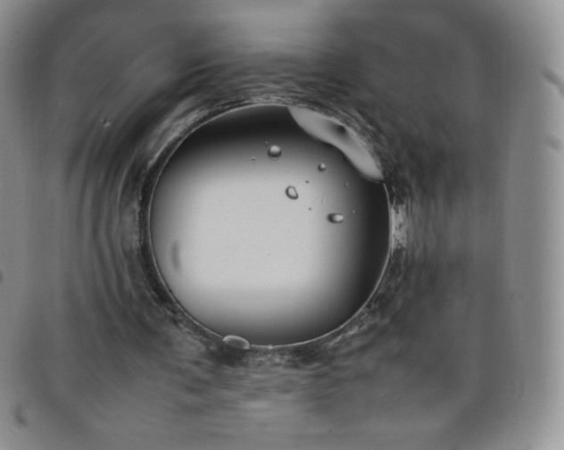 X0000099230291200805011142