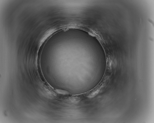 X0000099230292200805011142