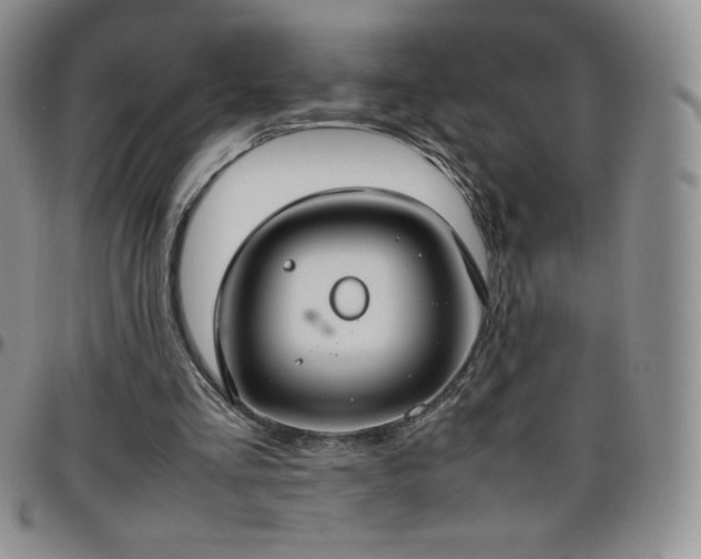 X0000099230293200805011142