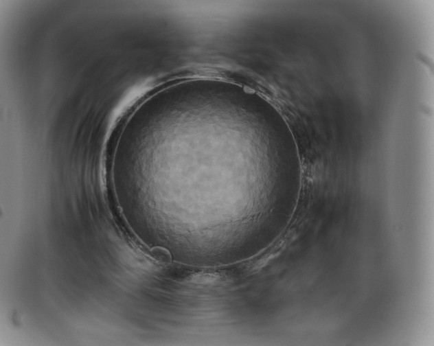 X0000099230294200805011142