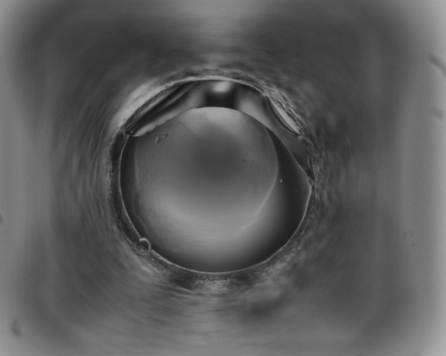 X0000099230295200805011142