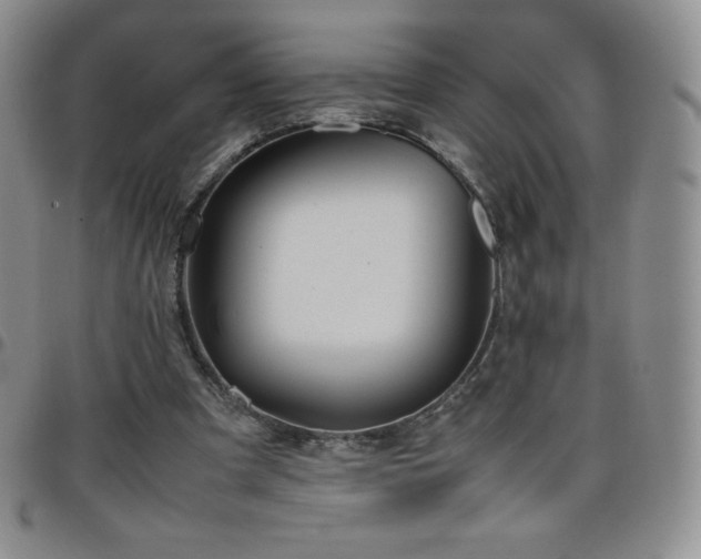 X0000099230297200805011142