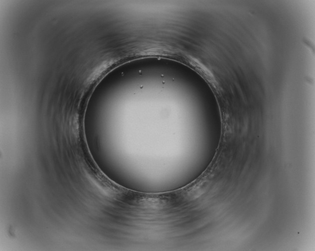 X0000099230298200805011142