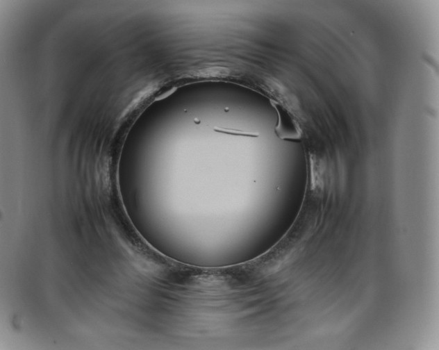 X0000099230300200805011142