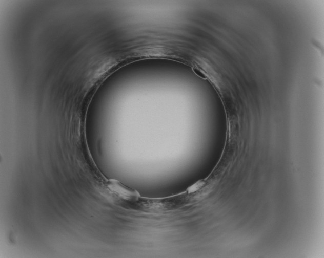 X0000099230301200805011142