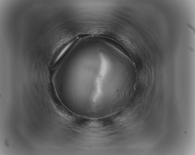 X0000099230303200805011142